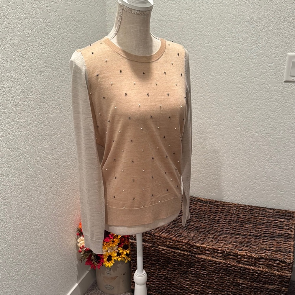 Elegant Beige/Tan Embellished Beige Women's Sweater